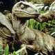 Illustration for article titled 10 Reasons The Velociraptors Are The True Stars of The Jurassic Trilogy